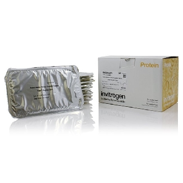 PB SELECT TRANSFER PVDF REG 10 PK，PB5310，Invitrogen