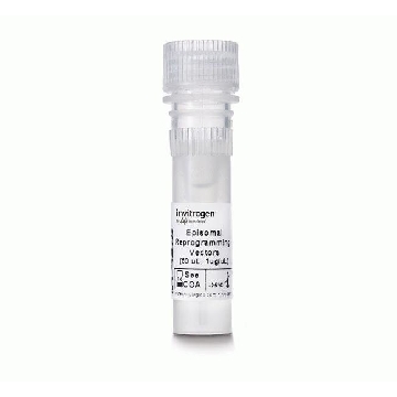 EPISOMAL REPROGRAMMING KIT Kit，A14703，Invitrogen