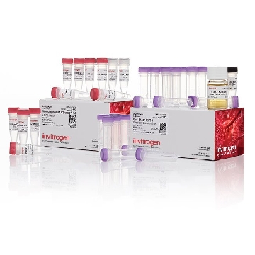 TA CLONING KIT TOP10 20 RXN，K204001，Invitrogen