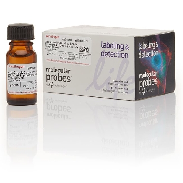 ACCUCHECK COUNTING BEADS 10 ML，PCB100，Invitrogen