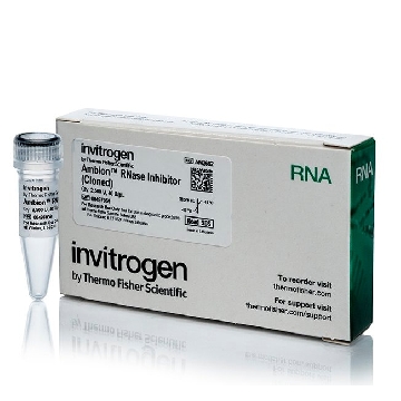 Transfer SKU RNASE INHIBITOR (40U/UL)2,500U EACH，AM2682，赛默飞世尔
