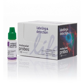 CELLEVENT CASPASE-3/7 GREEN 1.75 ML，R37111，Invitrogen