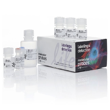 CLICK PLUS EDU PB FLOW KIT 50 1 KIT，C10636，Invitrogen