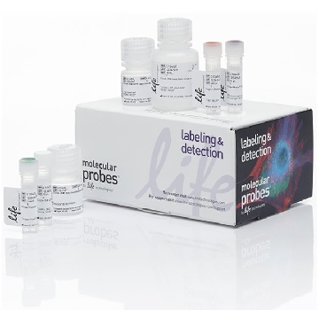 CLICK-IT PLUS OPP AF594 KIT 50 1 KIT，C10457，Invitrogen