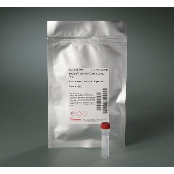 DYLIGHT 550-2XPEG, NHS ESTER, 1 MG，62269，赛默飞世尔