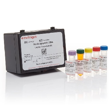 APOPTOTIC DNA LADDER DETECT KT 50 TESTS BIOSOURCE (TM)，KHO1021，Invitrogen