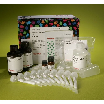 GLYCOLINK IMMOBILIZATION KIT，88941，赛默飞世尔