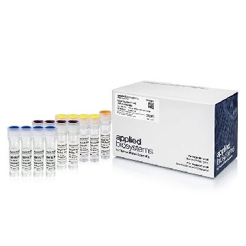 AMPLITAQ GOLD 360 DNA POLYMRSE 5X1000U，4398896，Applied Biosystems