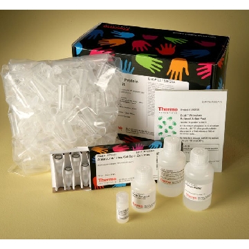 MICROLINK PROTEIN COUPLING KIT EA，20475，赛默飞世尔