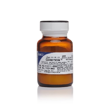 GENETICIN 25G，11811098，Invitrogen