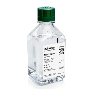 Transfer SKU 20X SSC BUFFER 500 ML EACH，AM9770，赛默飞世尔