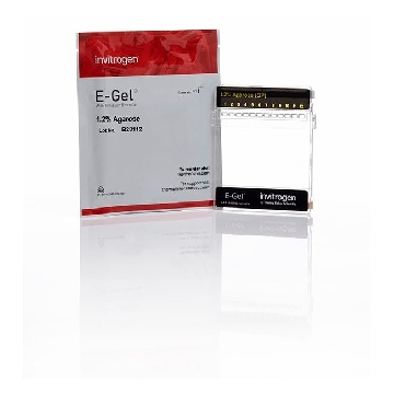 E-GELS 1.2% 18/PK，G501801，Applied Biosystems