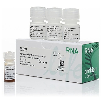 Transfer SKU DYNABEADS MRNA PURIFICATION KIT，61006，赛默飞世尔