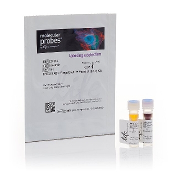 LIVE/DEAD FUNGALIGHT YEAST VIA 1 KIT，L34952，Invitrogen