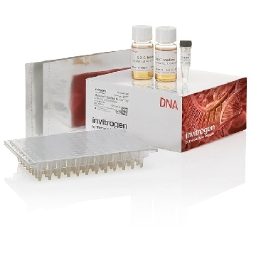 MULTISHOT FLEXPLATE DH10B T1R EA，C6481201，Invitrogen