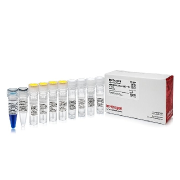 Transfer SKU MMESSAGE MMACHINE SP6 KIT 25RXNS，AM1340，赛默飞世尔