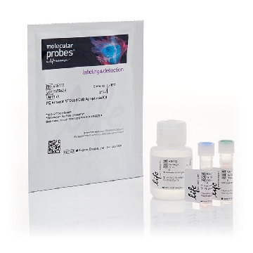 PE ANNEXIN V/DEAD CELL APOPTOS 1 KIT，V35112，Invitrogen