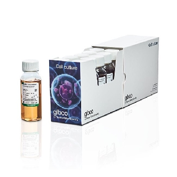 FETAL BOVINE SERUM NZ ORIGIN 10X50ML，A3160902，Invitrogen
