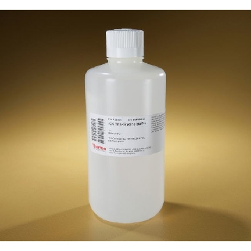TRIS-GLYCINE BUFFER 10X, 1 L EA，28363，赛默飞世尔