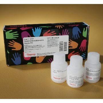 YEAST BETA-GALACTOSIDASE ASSAY KIT，75768，赛默飞世尔