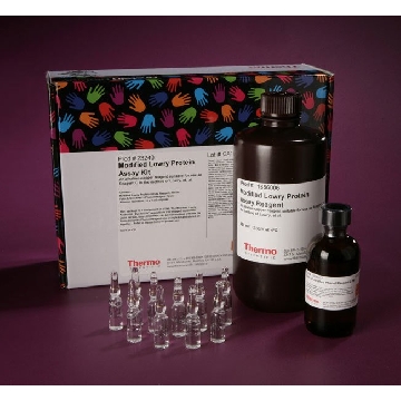 MODIFIED LOWRY PROTEIN ASSAY KIT，23240，赛默飞世尔