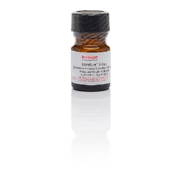 X-GAL 1G，15520018，Invitrogen
