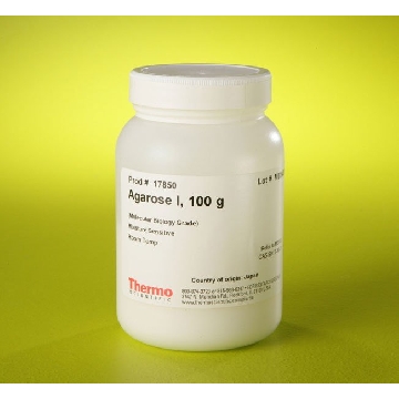 AGAROSE I (MOLECULAR BIOLOGY GRADE)，17850，赛默飞世尔