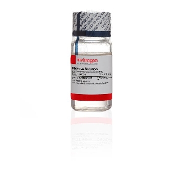 IMAGE-IT FIXATION SOLUTION 20 ML，FB002，Invitrogen