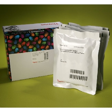 PIERCE NEUTRAVIDIN COATED CLEAR 96-WELL PLATE, WITH，15123，赛默飞世尔