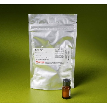 SULFO-SMCC, 1 G. EA，22122，赛默飞世尔