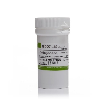 COLLAGENASE,  LYO 500MG，17018029，Invitrogen