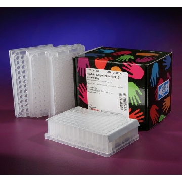 PROTEIN A SPIN PLATE FOR IGG SCREENING，45202，赛默飞世尔
