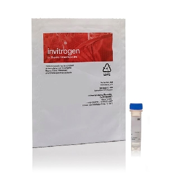 PEPSTATIN A, BODIPY(R) FL 25 UG，P12271，Invitrogen