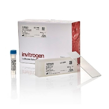 QVT POSITIVE CONTROL KIT, 1PLX EACH，QVT0519，Affymetrix