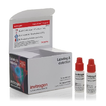 PI READY FLOW RGNT 2 X 2.5 ML，R37169，Invitrogen