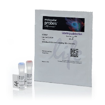 QTRACKER 525 TRIAL SIZE 1 KIT，Q25049，Invitrogen