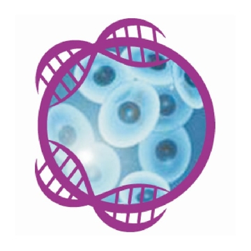 KINGFISHER CELL AND TISSUE DNA EACH，97030196，Invitrogen