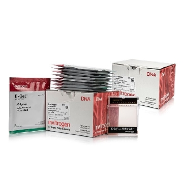 E-GEL SYBR SAFE 4% 20 GELS，A45206，Applied Biosystems