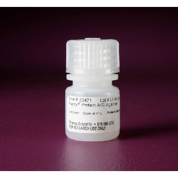 PIERCE(R) PROTEIN A/G AGAROSE 3 mL，20421，Invitrogen
