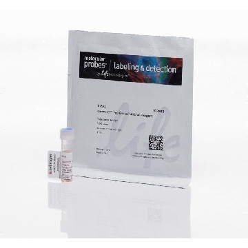 QUANT-IT PICOGREEN DSDNA REAGE 1 ML，P7581，Applied Biosystems