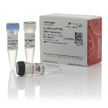 ACCUPRIME PFX DNA POLYMERASE 200 REACTIONS，12344024，Invitrogen