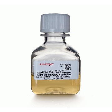 BACMAM LRRK2-GFP REAGENT 15 ML，A14170，Invitrogen