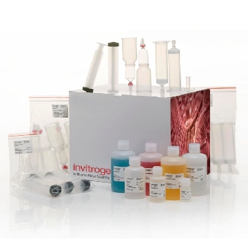 PL ENDO MAXI 20 PREP KIT EA，A36228，Applied Biosystems