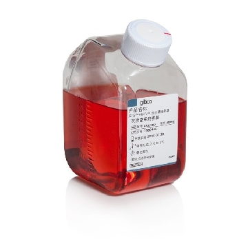 CTS AIM V SFM 1000ML，A3021002，Invitrogen