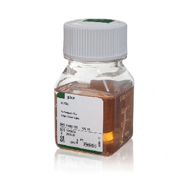 FBS, HI, QUALIFIED, USA ORIGIN 100ML，16140063，Invitrogen