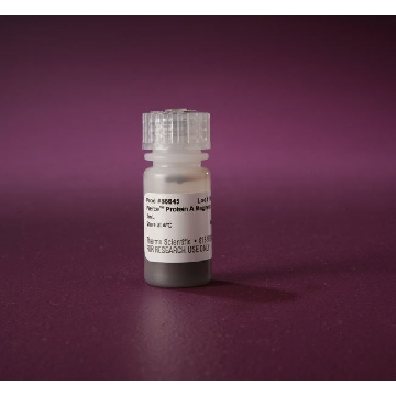 PIERCE PROTEIN A MAGNETIC BEADS, 1 ML.，88845，赛默飞世尔