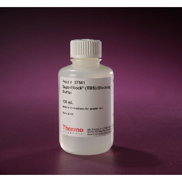 SUPERBLOCK (TBS) BLOCKING BUFFER, 100 ML.，37581，赛默飞世尔