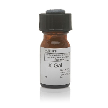 X-GAL 1 G EACH，AM9944，赛默飞世尔
