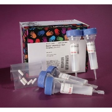 PIERCE GLUTATHIONE SPIN COLUMN 3 ML X 5，16105，赛默飞世尔