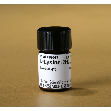 L-LYSINE-2HCL, 50 MG. EA，89987，赛默飞世尔
